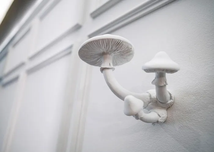 Js-balingen Balingen